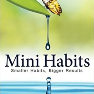 mini habits: smaller habits bigger results